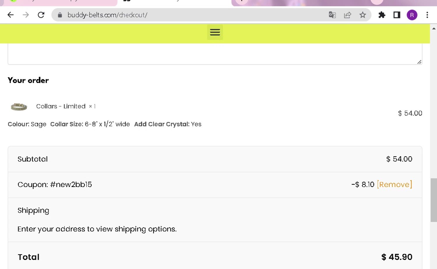 Buddy Belts coupon code screenshot showing code #NEW2BB15 applied at Buddy Belts checkout page. Uploaded by SimplyCodes community member DealFox7738 on Jun 16, 2025