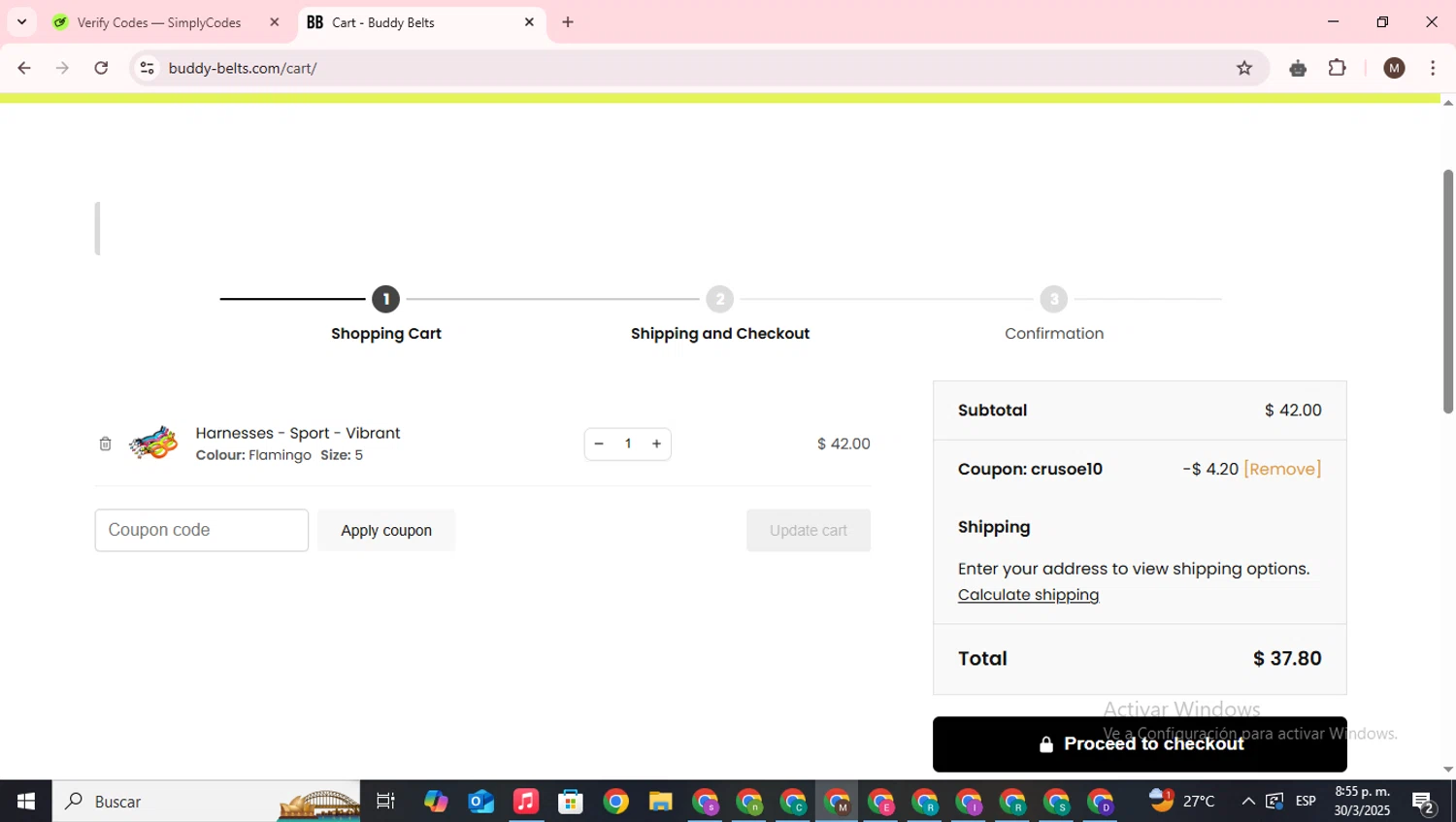 Buddy Belts checkout page showing Buddy Belts coupon code box | Screenshot taken by SimplyCodes community member on Mar 31, 2025