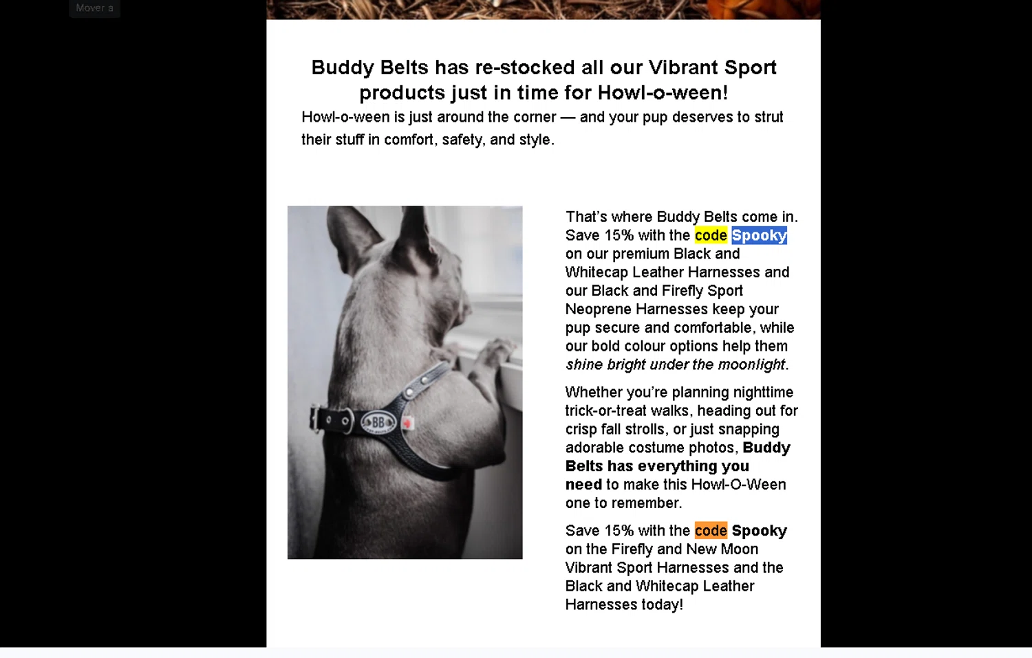 Buddy Belts coupon code screenshot showing code Spooky applied at Buddy Belts checkout page. Uploaded by SimplyCodes community member Logoteam on Oct 30, 2025