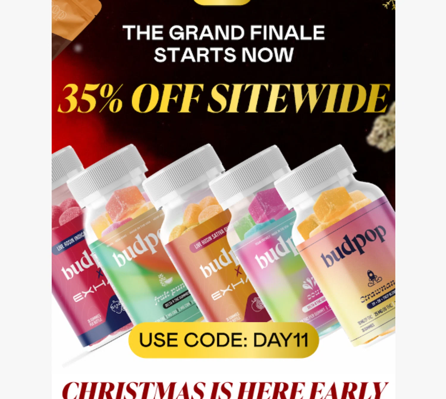 BudPop promo code screenshot showing code day11 applied at BudPop checkout page. Uploaded by SimplyCodes community member BYEEEE on Dec 22, 2025