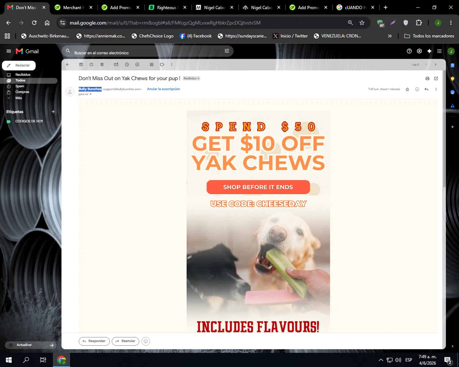 Bully Bunches promo code screenshot showing code CHEESEDAY applied at Bully Bunches checkout page. Uploaded by SimplyCodes community member Codehunter on Jun 4, 2026