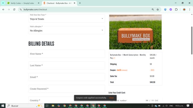 Bullymake checkout page showing Bullymake coupon code box | Screenshot taken by SimplyCodes community member on Aug 30, 2025