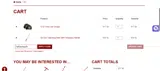 FallSavings25 coupon verification screenshot