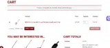 CYBERMONDAY15 coupon verification screenshot