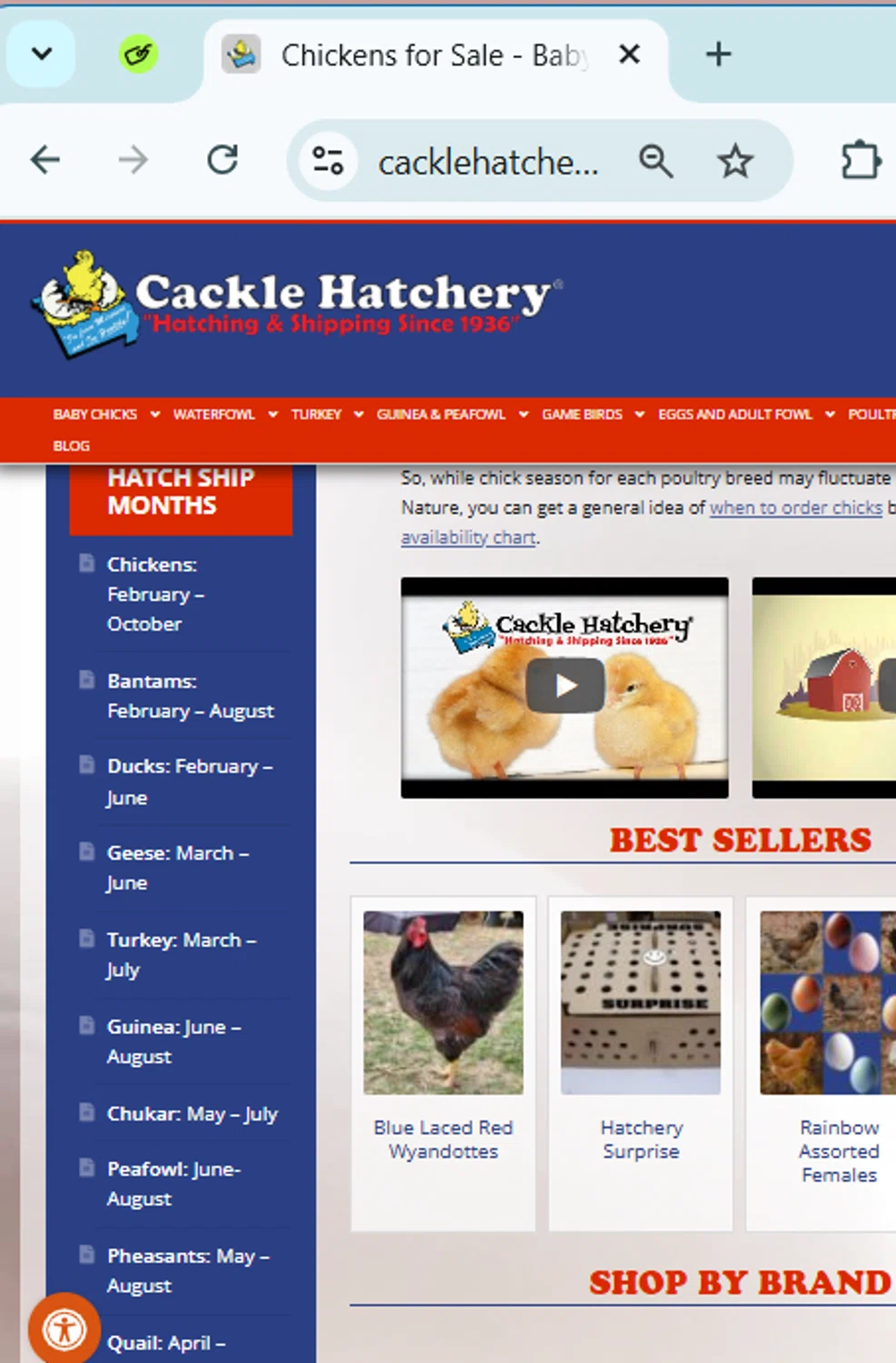 Cackle Hatchery discount code screenshot showing code HATCH0717 applied at Cackle Hatchery checkout page. Uploaded by SimplyCodes community member SavingsPhoenix2740 on Mar 19, 2025