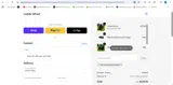 Caddie Wheel coupon verification screenshot