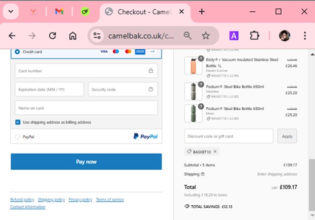 Camelbak checkout page showing Camelbak promo code box | Screenshot taken by SimplyCodes community member on Nov 25, 2024