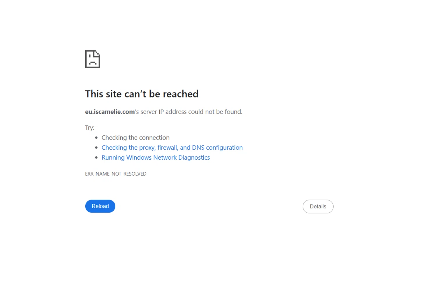 Camelie Eco promo code screenshot showing code FREETRAVEL applied at Camelie Eco checkout page. Uploaded by SimplyCodes community member Lioniel on Nov 27, 2025