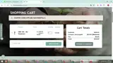 JENNYSGOLD coupon verification screenshot