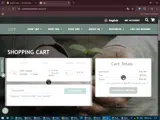 SummerChill coupon verification screenshot