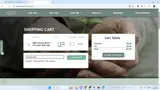 SummerChill coupon verification screenshot