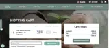 SummerChill coupon verification screenshot