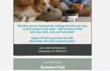 SummerChill coupon verification screenshot