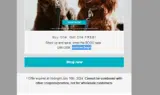 summerbogo coupon verification screenshot