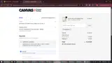 INSTOCK10 coupon verification screenshot