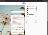 OFFER coupon verification screenshot