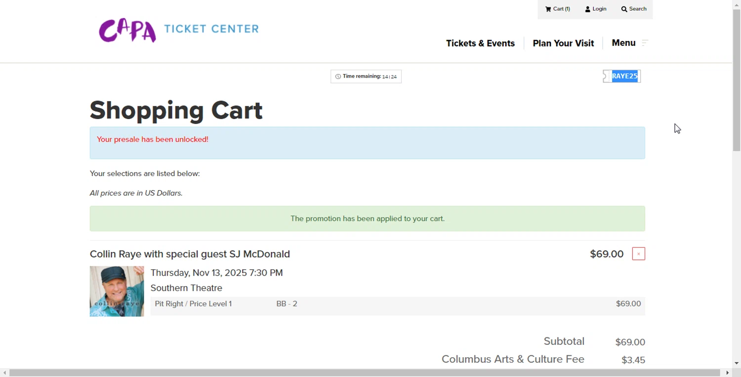 CAPA promo code screenshot showing code RAYE25 applied at CAPA checkout page. Uploaded by SimplyCodes community member Freddyviejo on Oct 4, 2025