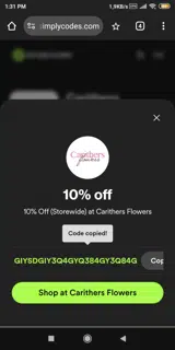 GIYSDGIY3Q4GYQ384GY3Q84G coupon verification screenshot