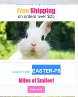 EASTER-FS coupon verification screenshot