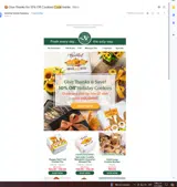 HOLIDAY10 coupon verification screenshot