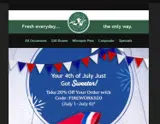 FIREWORKS20 coupon verification screenshot
