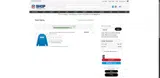 Carolina Panthers coupon verification screenshot