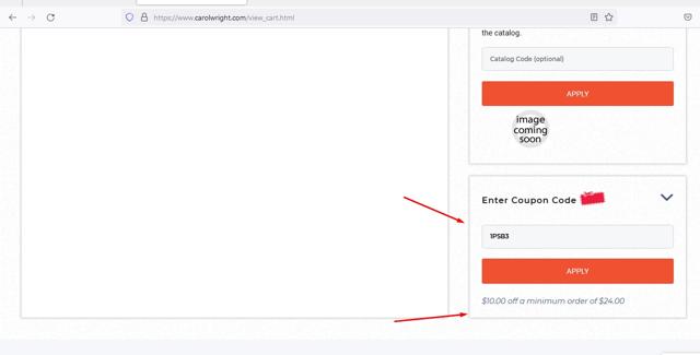 Carol Wright Gifts checkout page showing Carol Wright Gifts coupon code box | Screenshot taken by SimplyCodes community member on Jan 6, 2023