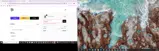 Carpe Omnia coupon verification screenshot