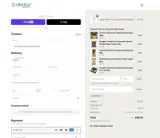 Carrolls Irish Gifts coupon verification screenshot