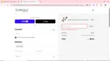 Carrolls Irish Gifts coupon verification screenshot