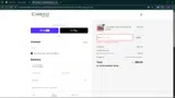 Carrolls Irish Gifts coupon verification screenshot