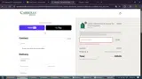 Carrolls Irish Gifts coupon verification screenshot