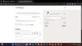 Carrolls Irish Gifts coupon verification screenshot
