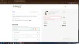 Carrolls Irish Gifts coupon verification screenshot
