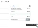 Catch The Fever coupon verification screenshot