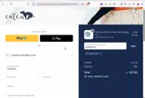 SPRINGCAT coupon verification screenshot