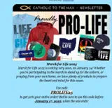 PROLIFE25 coupon verification screenshot