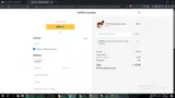 SAVE599 coupon verification screenshot