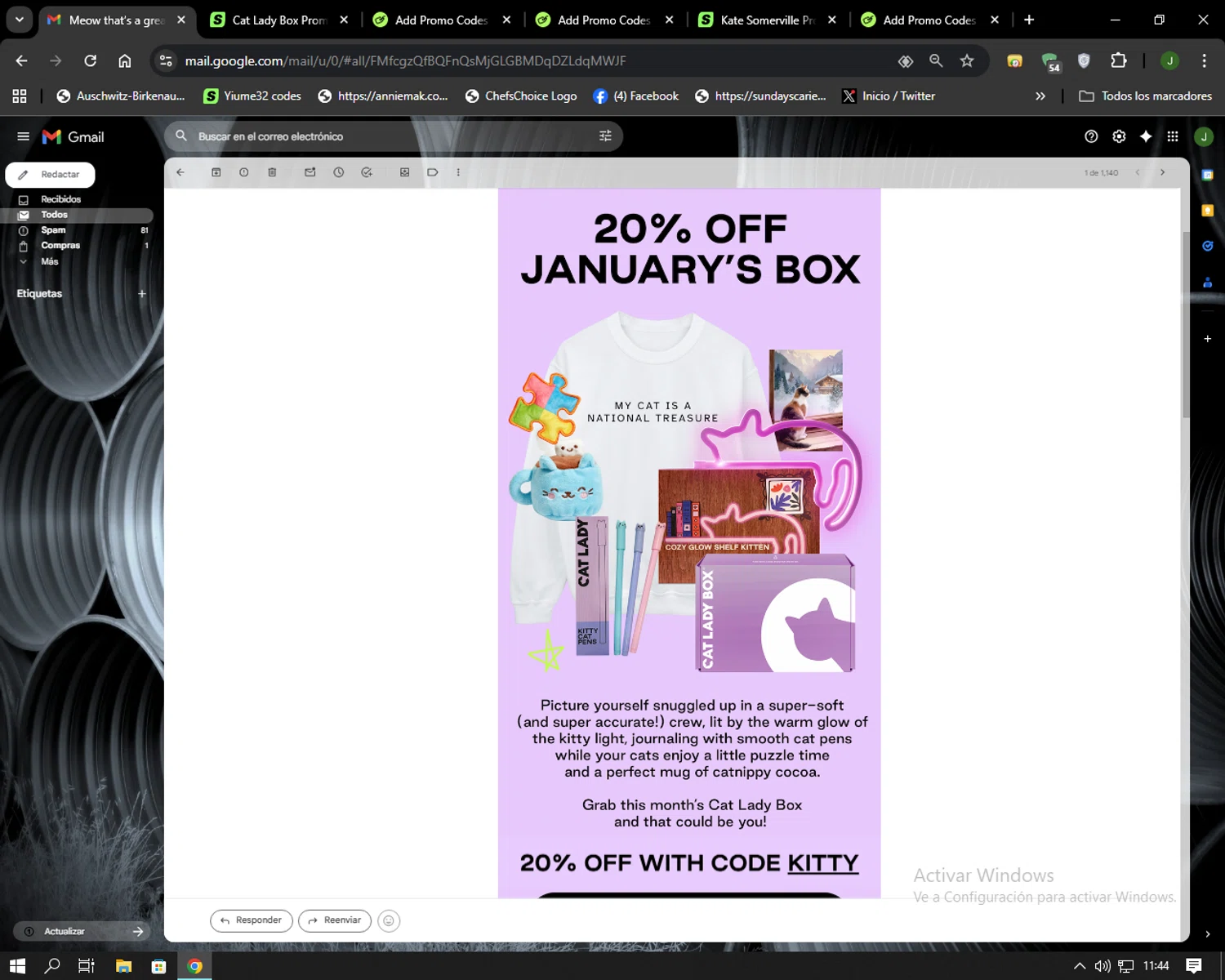 Cat Lady Box promo code screenshot showing code KITTY applied at Cat Lady Box checkout page. Uploaded by SimplyCodes community member Codehunter on Jan 16, 2026