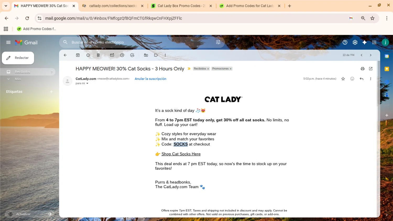 Cat Lady Box promo code screenshot showing code SOCKS applied at Cat Lady Box checkout page. Uploaded by SimplyCodes community member yennifergonzalez on Jan 15, 2026