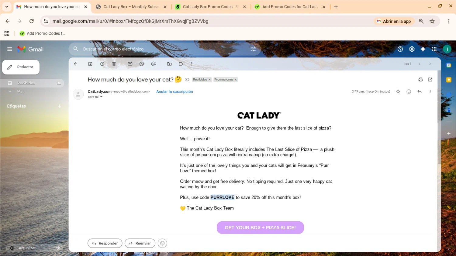 Cat Lady Box promo code screenshot showing code PURRLOVE applied at Cat Lady Box checkout page. Uploaded by SimplyCodes community member yennifergonzalez on Feb 3, 2026