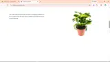 OMGSALE777 coupon verification screenshot