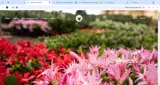supergift20 coupon verification screenshot