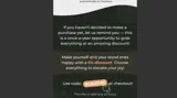 blackcat coupon verification screenshot