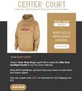 GOLD coupon verification screenshot