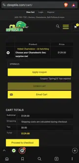 SPRING25 coupon verification screenshot