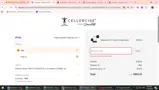 FallSale coupon verification screenshot