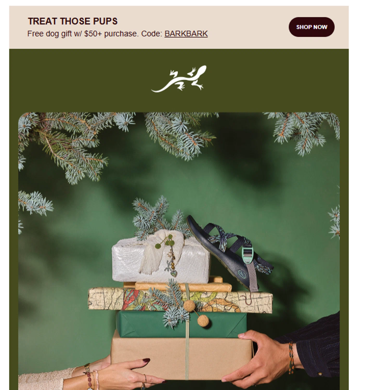 Chaco promo code screenshot showing code BARKBARK applied at Chaco checkout page. Uploaded by SimplyCodes community member valeriaantonieta on Nov 14, 2025