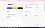 Chani Nicholas coupon verification screenshot