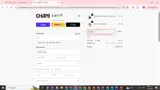 Chani Nicholas coupon verification screenshot